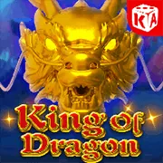 Slots Video 5 Cuộn